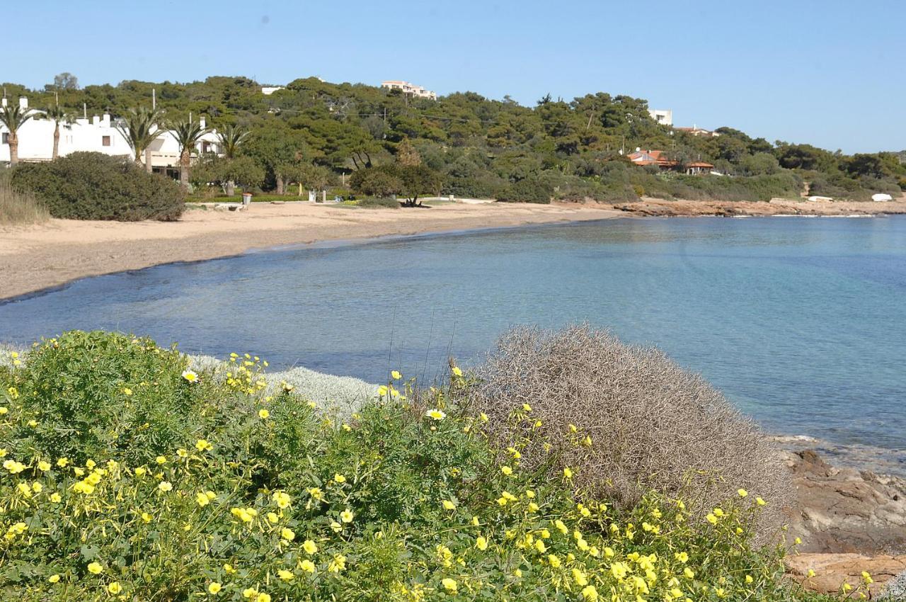 Sounio Golden View Villas Sunion Eksteriør bilde